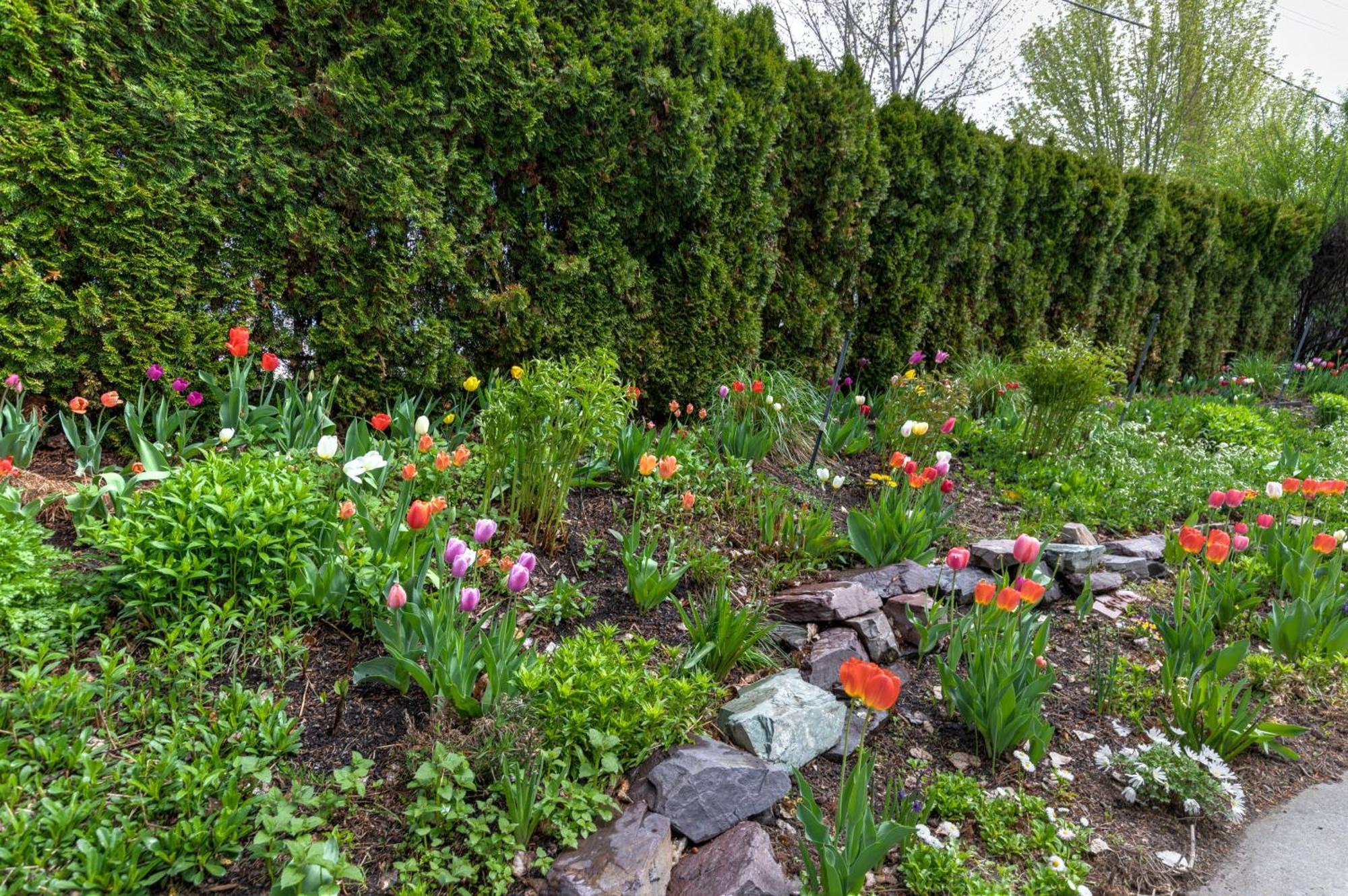 The Gibson Mansion Bed And Breakfast Missoula Exterior foto